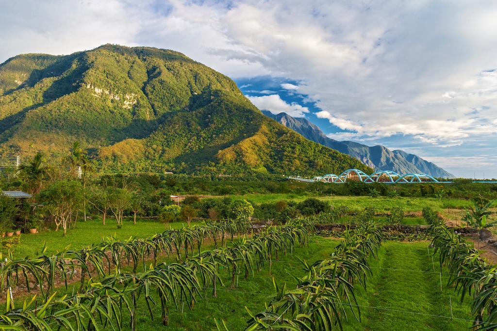 Hualien Taroko Yu'S Homestay B&B Xincheng Township Exterior photo